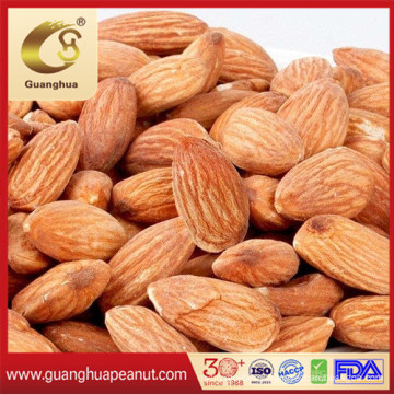 Hot Selling New Crop Shelled Almond in Bulk